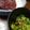 クック7FNN0F☆'s cooksnap of when they made リカちゃん♡くじらの刺し身.