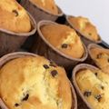 ぼさつ！'s cooksnap of when they made HMで作るサク☆ふわ！チョコマフィン♪.