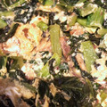 nunu！'s cooksnap of when they made サバ味噌缶とほうれん草の卵とじ.