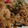 さぁ★たぁ★'s cooksnap of when they made さば缶の味噌焼きそば.