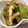 たこあんこ☆'s cooksnap of when they made ちんげん菜と油揚げの胡麻和え.