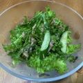 Stacieee's cooksnap of when they made ツナとわさび菜の中華風サラダ.