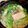 ♪ゆかたん♡'s cooksnap of when they made 簡単ミルフィーユ白菜豚.