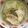 まめ郎's cooksnap of when they made 白菜と豚肉の塩麹蒸し.