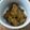 ハッピーノイズ's cooksnap of when they made かんずりネギ味噌.