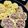 ☆ぺけぽん☆'s cooksnap of when they made 甘辛牛肉のわさびいなり寿司.