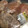 Sa〜ちゃん's cooksnap of when they made 一目で分かる肉の冷凍保存方.