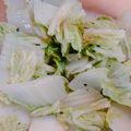 料理のしーちゃん's cooksnap of when they made 白菜のごまサラダ.