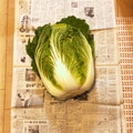 ころんぴ's cooksnap of when they made 丸ごと白菜の長持ちさせる方法だワン.