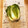 ころんぴ's cooksnap of when they made 丸ごと白菜の長持ちさせる方法だワン.