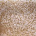なりのり１３'s cooksnap of when they made プロが教える、簡単基本の塩麹の作り方.