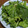kirinda's cooksnap of when they made ほうれん草とレタスのごま油和え.