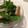 さゆゆゆこ's cooksnap of when they made ピーマンとさつま揚げのごま和え♪.