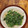 GoGo島みかん's cooksnap of when they made ほうれん草の胡麻和え.
