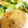 sataco's cooksnap of when they made 簡単★もちふわ大根入り鶏つくねの照り焼き.