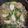 クックZ5DBHD☆'s cooksnap of when they made かぶのそぼろあんかけ♪.