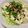 sayaendo＊'s cooksnap of when they made レタス・豆腐・ツナの塩昆布マヨサラダ.