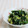umemodoki's cooksnap of when they made ほうれん草の卵とじ.