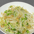 ★ゴンぎつね★'s cooksnap of when they made 簡単節約！もやしとかいわれのさっぱり和え.