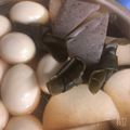 hama_mayu's cooksnap of when they made 簡単シンプル◎基本のおでん出汁.