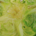 みみうさちゃん。's cooksnap of when they made キャベツの芯のとり方.