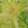 みみうさちゃん。's cooksnap of when they made キャベツの芯のとり方.