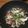 おはなすき's cooksnap of when they made 簡単！鯛とアサリのアクアパッツァ.