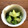 栗丸うさぎ's cooksnap of when they made 青梗菜のおかかお浸し.