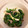 caruga's cooksnap of when they made ほうれん草と平茸のおひたし.