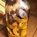 ちぴ隊長's cooksnap of when they made カリンのシロップ.