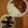 yunapi☆'s cooksnap of when they made 豚肉で♪ハヤシライス.