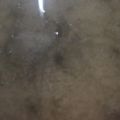 ﾌﾞﾚﾝﾀﾞ's cooksnap of when they made あおさたっぷり!!あおさだけのみそ汁.
