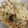 ✿ささ's cooksnap of when they made 鮭とキノコの炊き込みご飯♪.