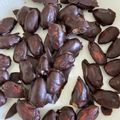 commebijou's cooksnap of when they made 低糖質なアーモンドチョコ♪.