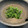 アークマミ's cooksnap of when they made 初めての調理実習✿ほうれん草のソテー✿.