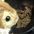 hitkechu's cooksnap of when they made ピーマンとこんにゃくのみそ炒め.
