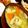 とろろ☆'s cooksnap of when they made 軟骨入り鶏つくね鍋.