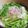こつぶっち's cooksnap of when they made クレソンと豚肉のしゃぶしゃぶ.