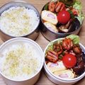 ﾋﾟﾛﾐ♡'s cooksnap of when they made 魚ニソ玉ねぎピーマンのケチャップ炒め.