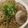 ☆ごはんできた☆'s cooksnap of when they made オイスター焼きそば.