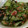 ちゃぴゆき's cooksnap of when they made 御飯が進む中華風おかず酢の物.