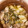 ピーナッツ子♪'s cooksnap of when they made 牡蠣と里芋のアヒージョ.