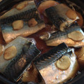 クックRZJ6ZB☆'s cooksnap of when they made 身がしっとり☆サバと大根の煮付け♥簡単☆.