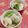 赤い電話's cooksnap of when they made 作り置き☆かぶの梅マリネ.
