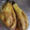 ★ゆむ★'s cooksnap of when they made 焼き茄子.