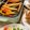 ♡てるてる♡'s cooksnap of when they made ホットプレートで♡蒸し焼き蟹♪.