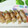 mielle's cooksnap of when they made 蕗（ふき）の 豚肉巻き.