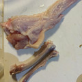 くみじぇんぬ's cooksnap of when they made 手羽先の骨を簡単キレイに取る方法♫.