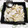 コネコリン's cooksnap of when they made 白菜とあさりのバター蒸し.