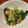 yukinoko21's cooksnap of when they made 簡単♪海老と青菜のオイスターソース炒め.